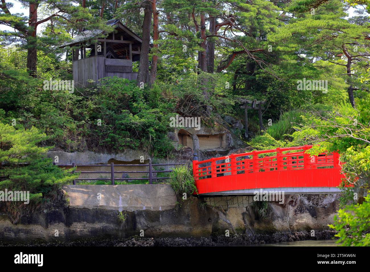 Matsushima Bay , splendide isole ricoperte di pini nella Prefettura di Miyagi, Giappone Foto Stock