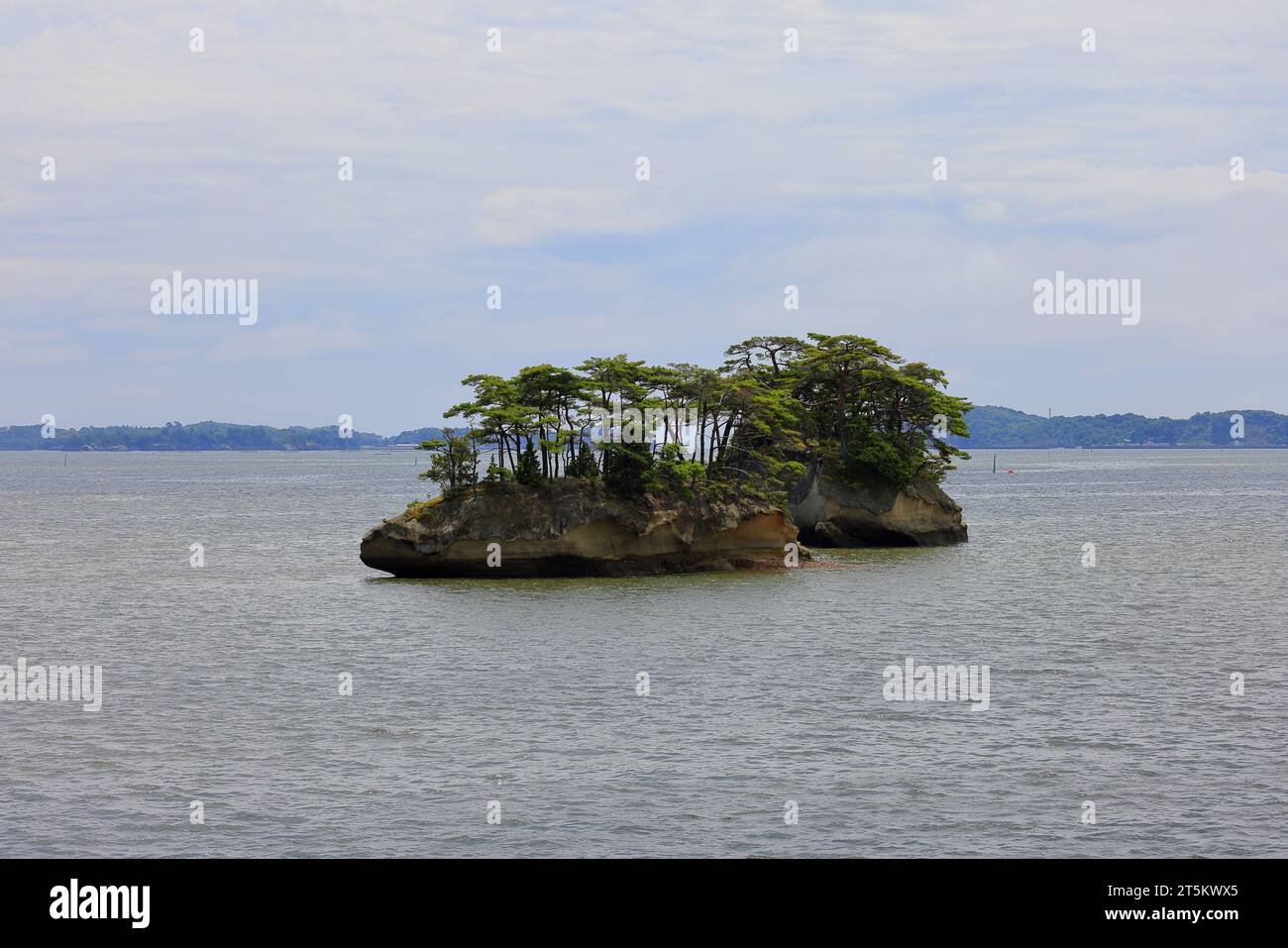 Matsushima Bay , splendide isole ricoperte di pini nella Prefettura di Miyagi, Giappone Foto Stock