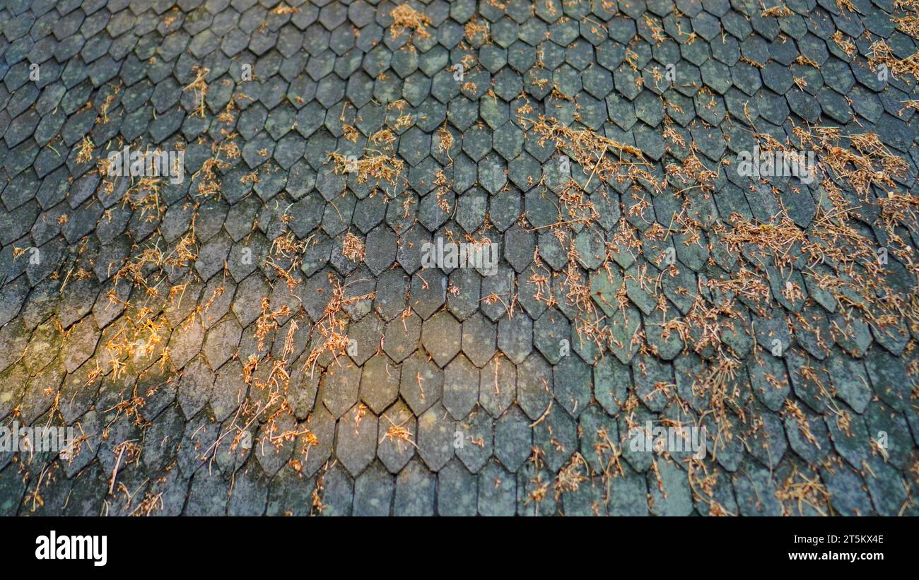 Texture o motivo del tetto classico nero Foto Stock