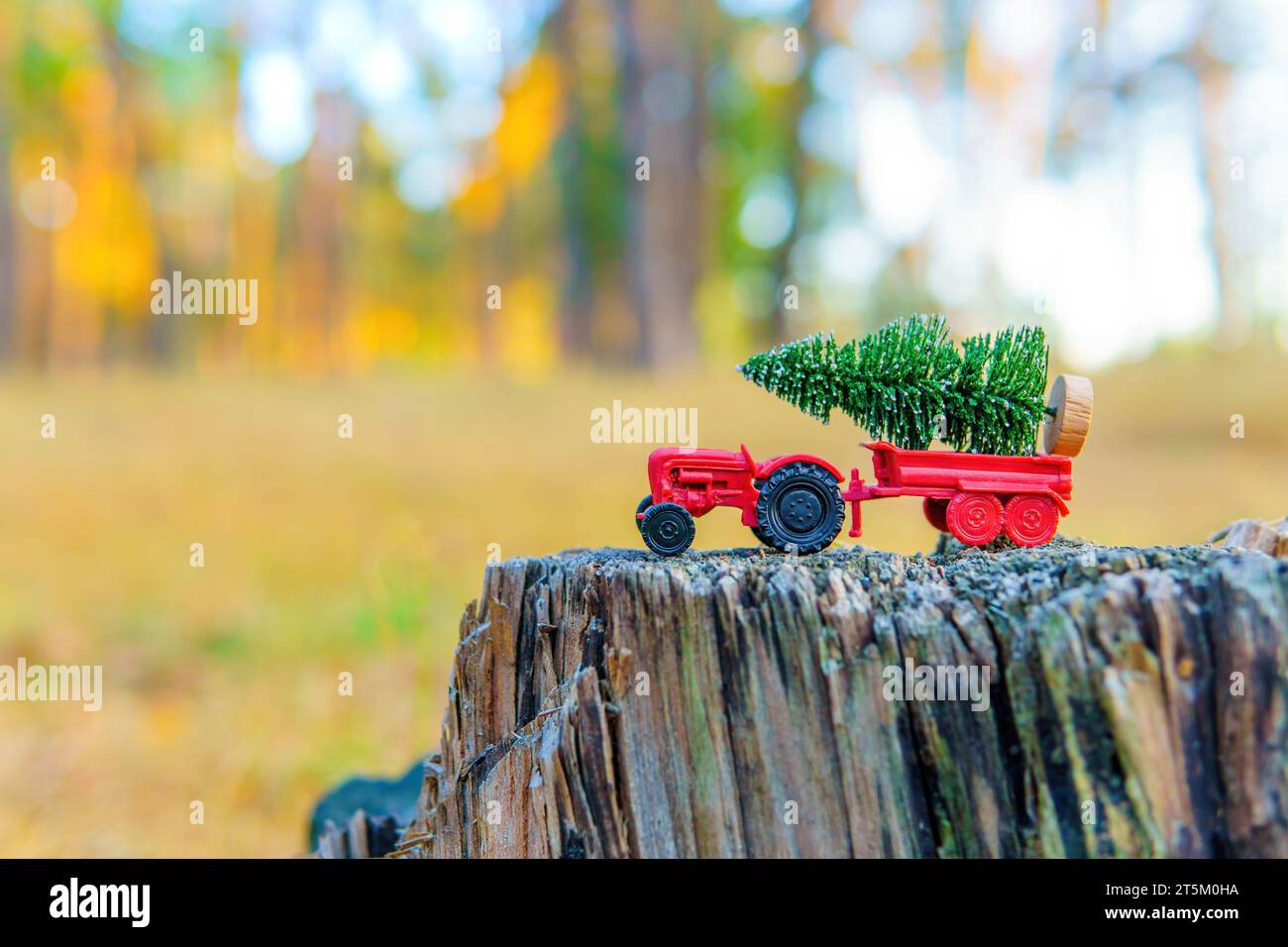 Il trattore giocattolo trasporta un piccolo albero di Natale arroccato in cima a un vecchio ceppo di alberi nel cuore della foresta. Concetto di registrazione industriale. Foto Stock