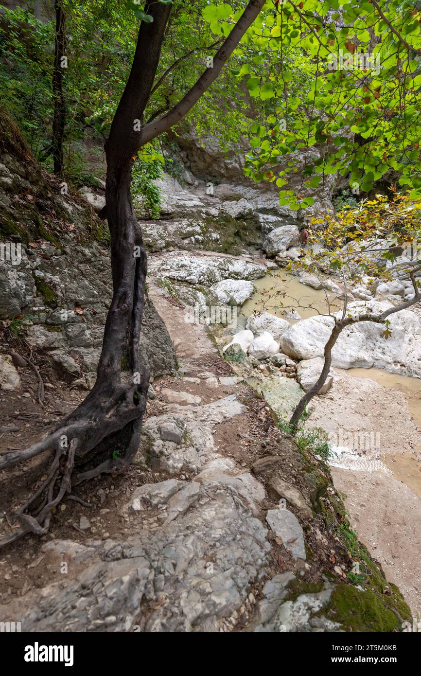 Un sentiero a piedi che segue il letto del fiume conduce ad una cascata. Cascata Nydri. Lefkada. Grecia. Foto Stock