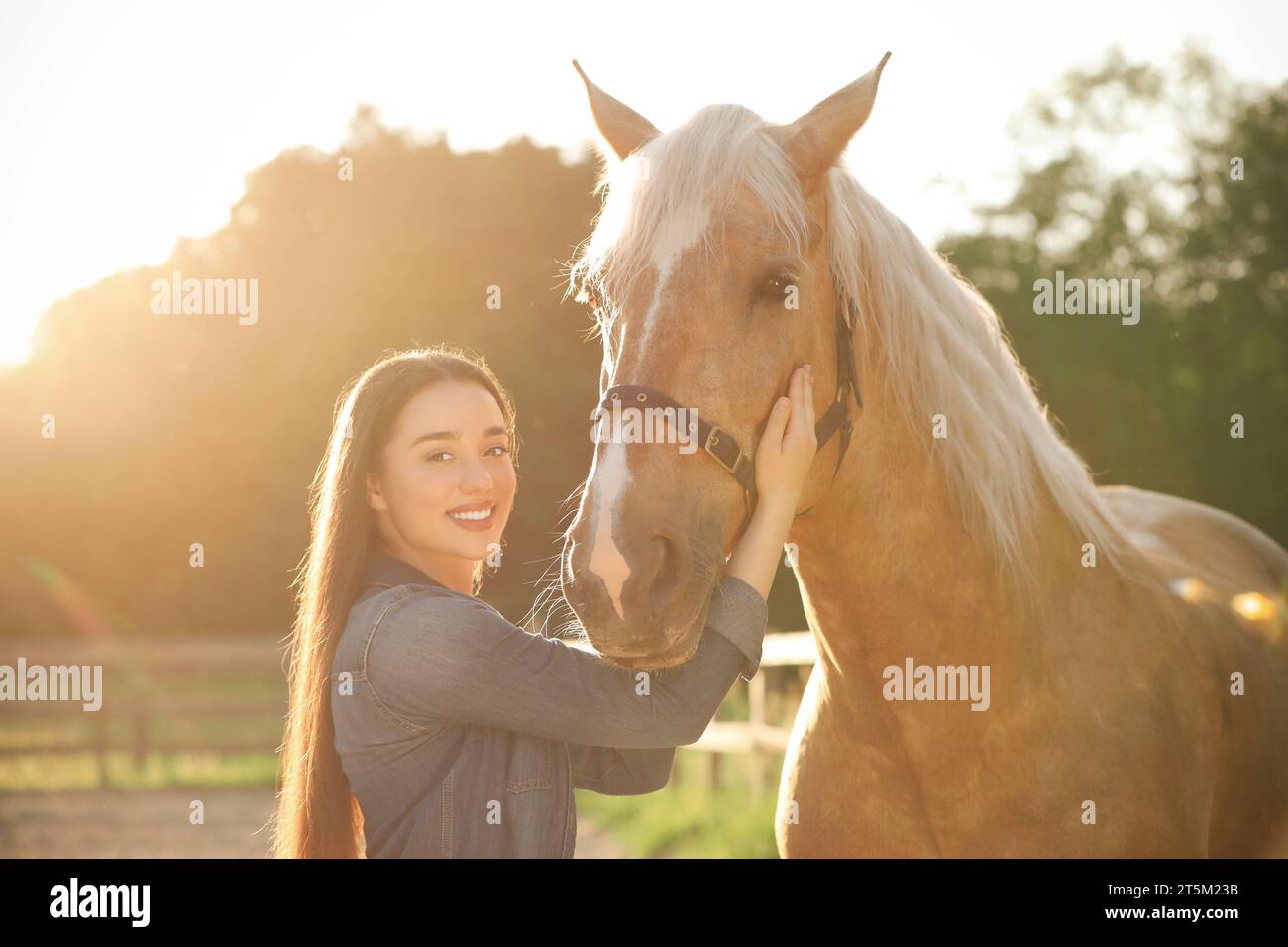 Bella donna con adorabile cavallo all'aperto nelle giornate di sole. Adorabile animale domestico addomesticato Foto Stock
