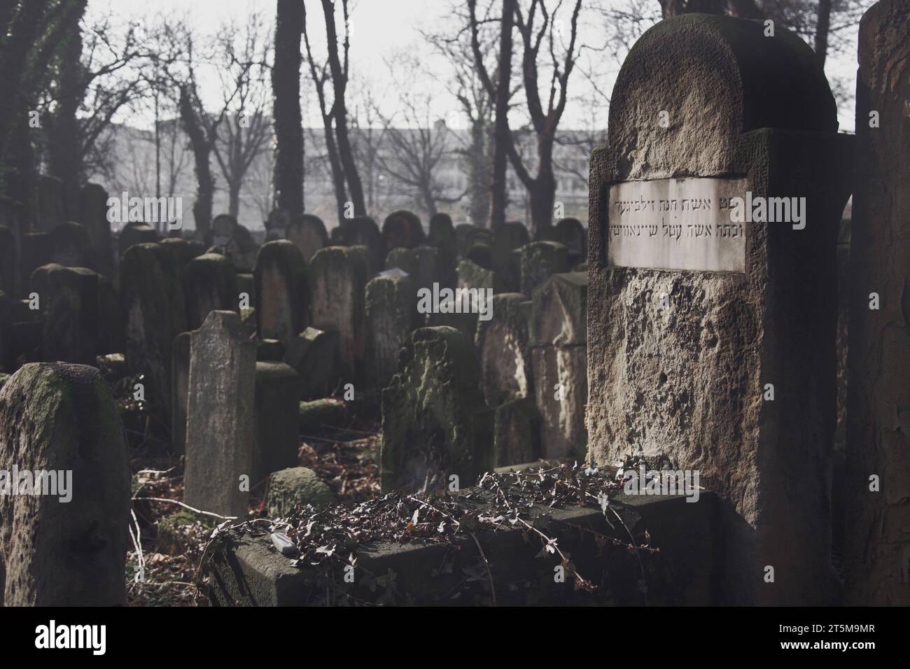 Cracovia, Polonia - 9 febbraio 2020: Lapidi nel sottobosco del nuovo cimitero ebraico in via Miodowa. Il cimitero trascurato e sovraffollato Foto Stock