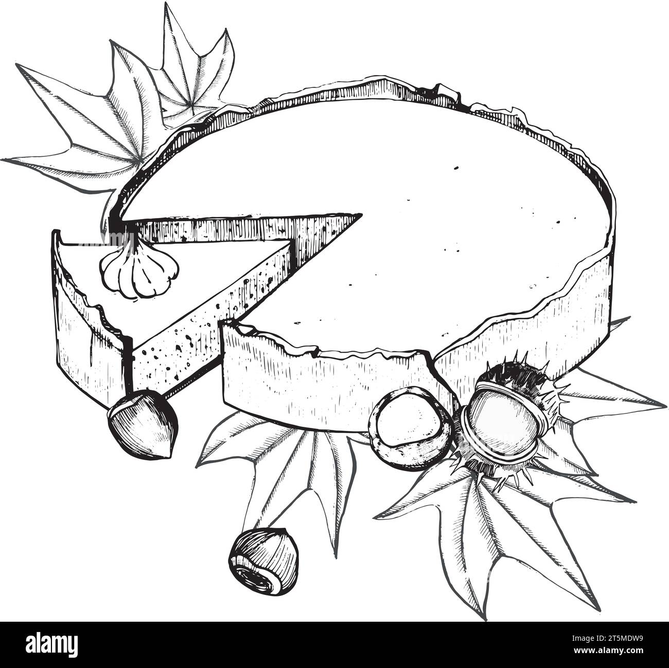 Illustrazione vettoriale. Torta di zucca con castagne e foglie d'acero disegnate in vettoriale in nero su sfondo bianco. Adatto per la stampa su tessuto, carta Illustrazione Vettoriale