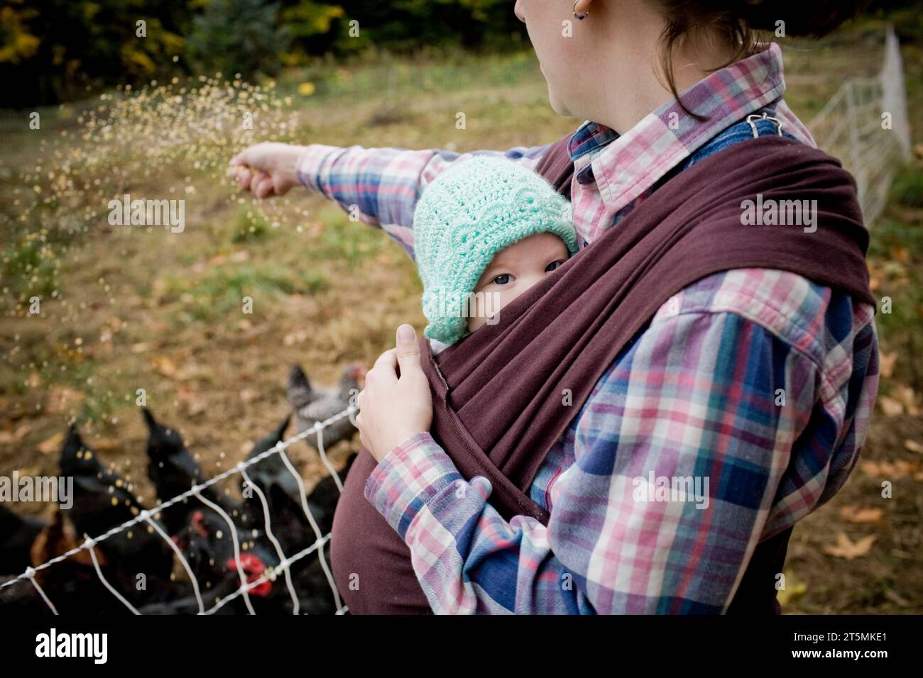 Una donna dà da mangiare ai polli mentre tiene in braccio il suo bambino. Foto Stock