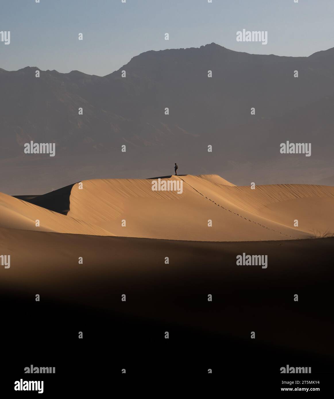 Death Valley, USA. Mesquite distese dune di sabbia la mattina presto. Un uomo in piedi da solo sulla cima della duna. Alta montagna sullo sfondo. Cielo limpido Foto Stock