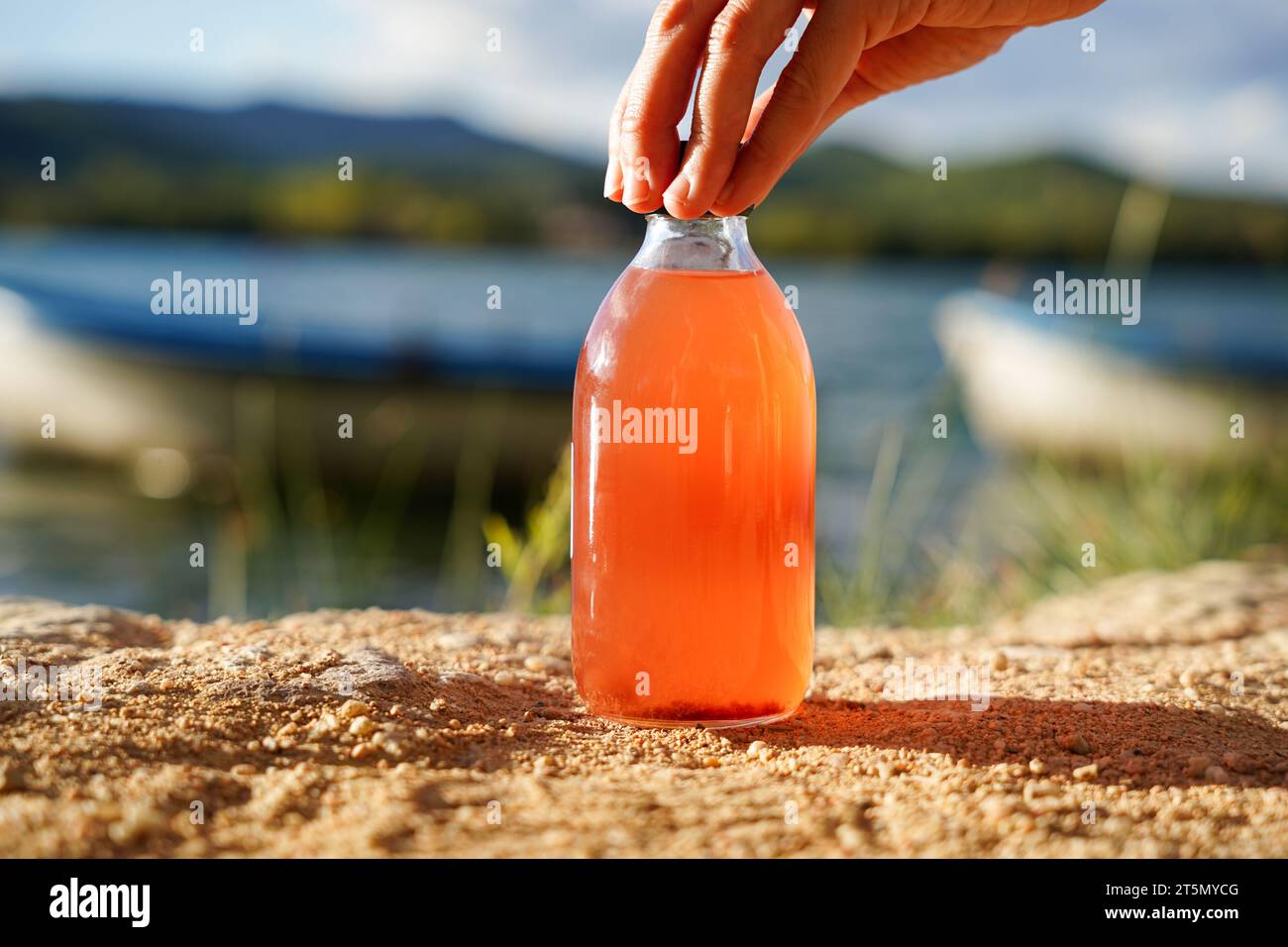 Tè kombucha fermentato fatto in casa in una bottiglia di vetro su fondo lago Foto Stock
