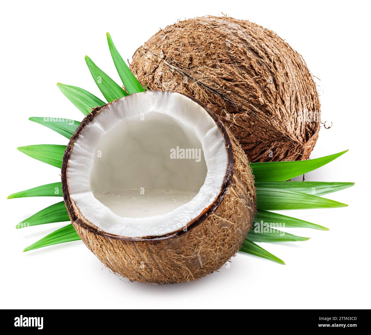 Latte di cocco nella metà dei frutti di cocco isolati su fondo bianco. Foto Stock