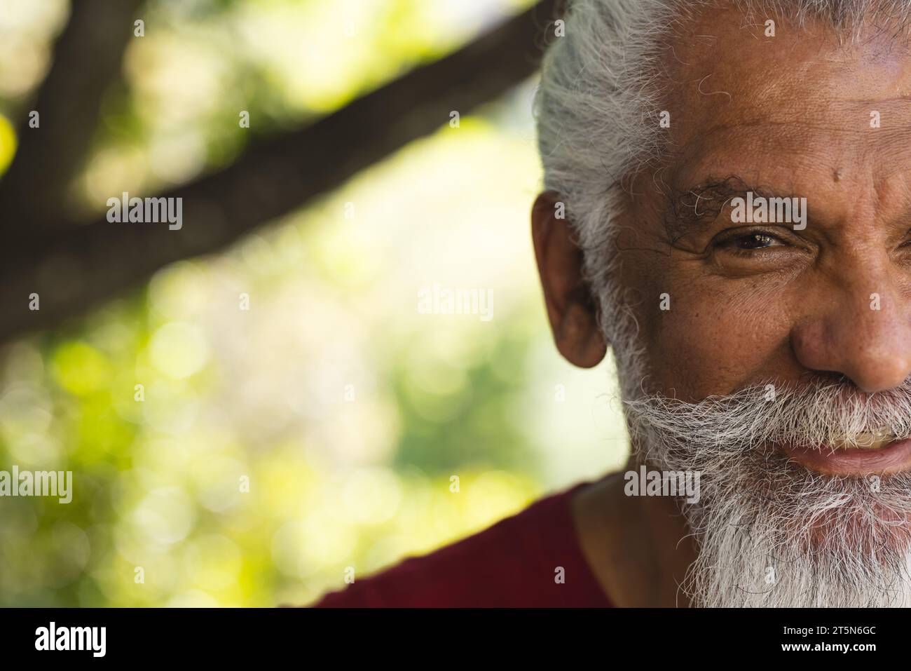 Mezza faccia di uomo anziano birazziale felice con barba lunga sorridente nel giardino soleggiato, spazio fotocopie Foto Stock