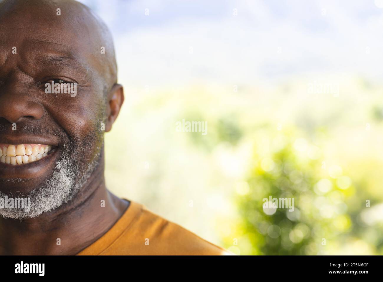 Mezzo volto di un uomo anziano afroamericano felice sorridente in un giardino soleggiato, spazio fotocopie Foto Stock