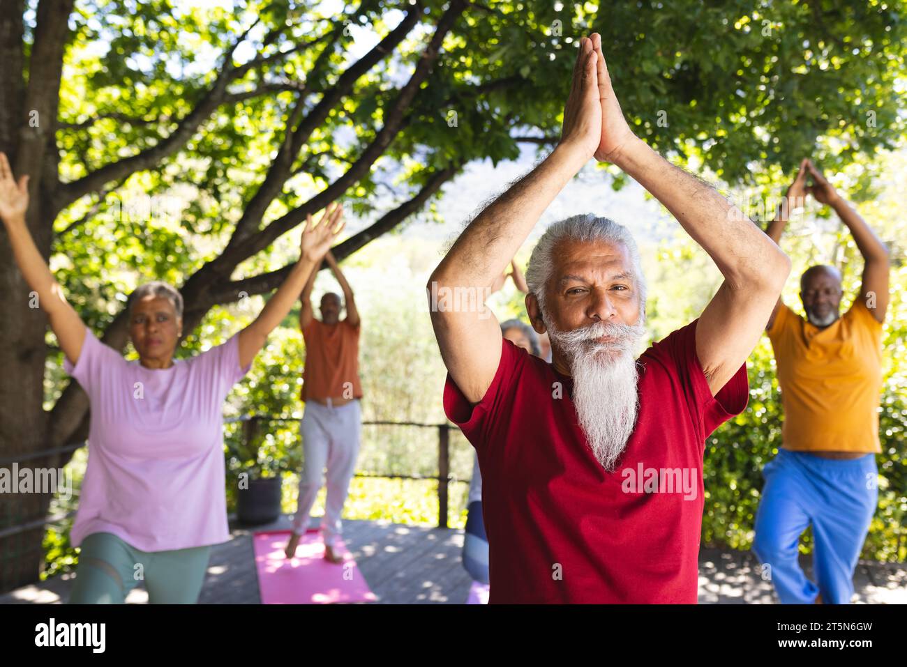 Gruppo eterogeneo di amici anziani che praticano yoga nel giardino soleggiato, spazio fotocopie Foto Stock