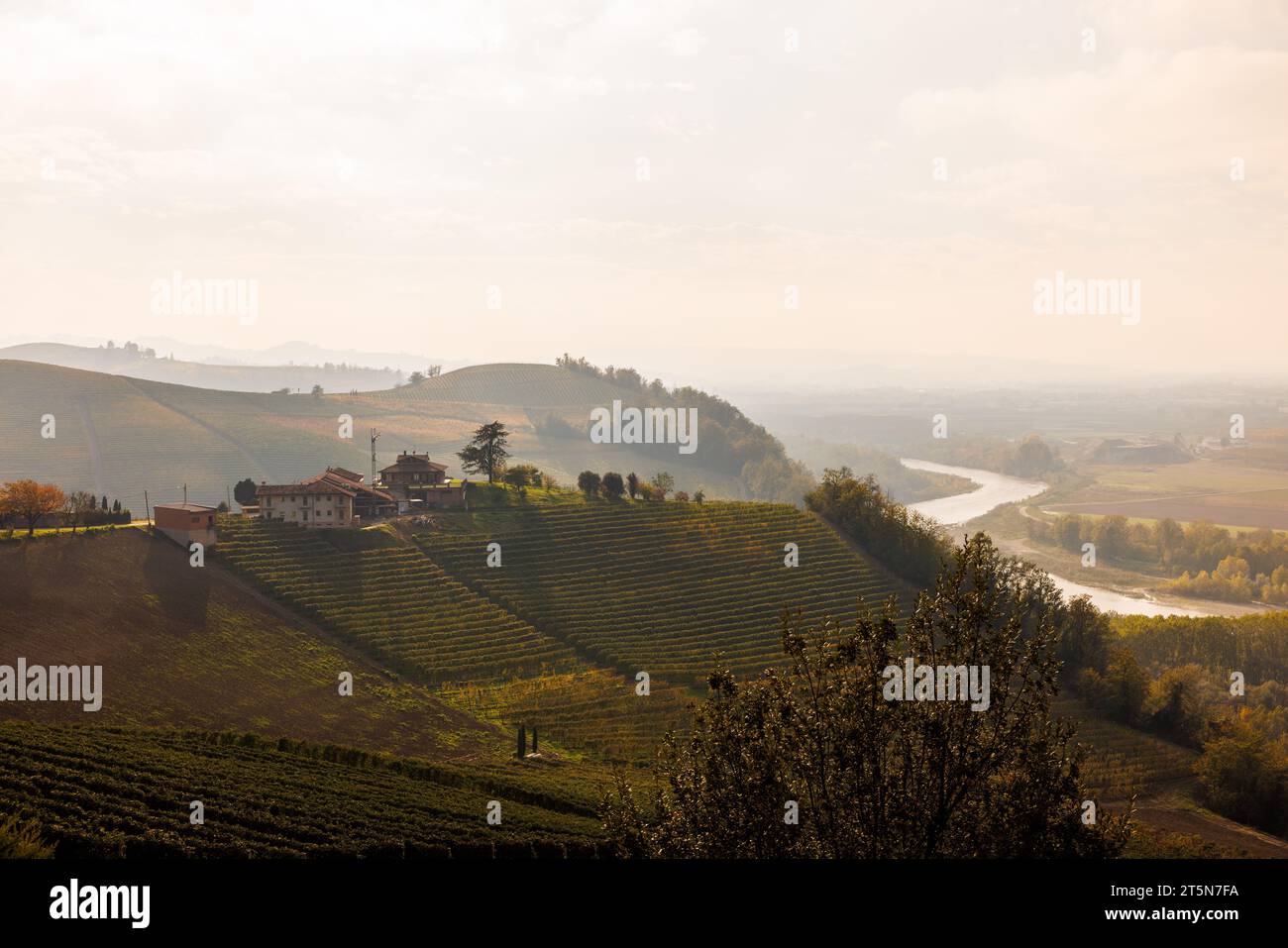 Vigneti nei pressi di Barbaresco con Tanaro, Piemonte in autunno Foto Stock