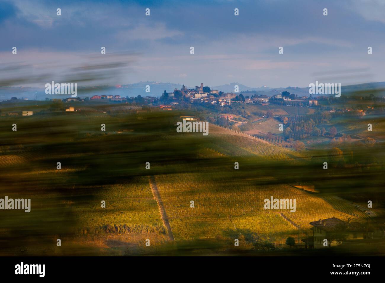 Vigneti nei pressi di Neive, Piemonte, in autunno Foto Stock
