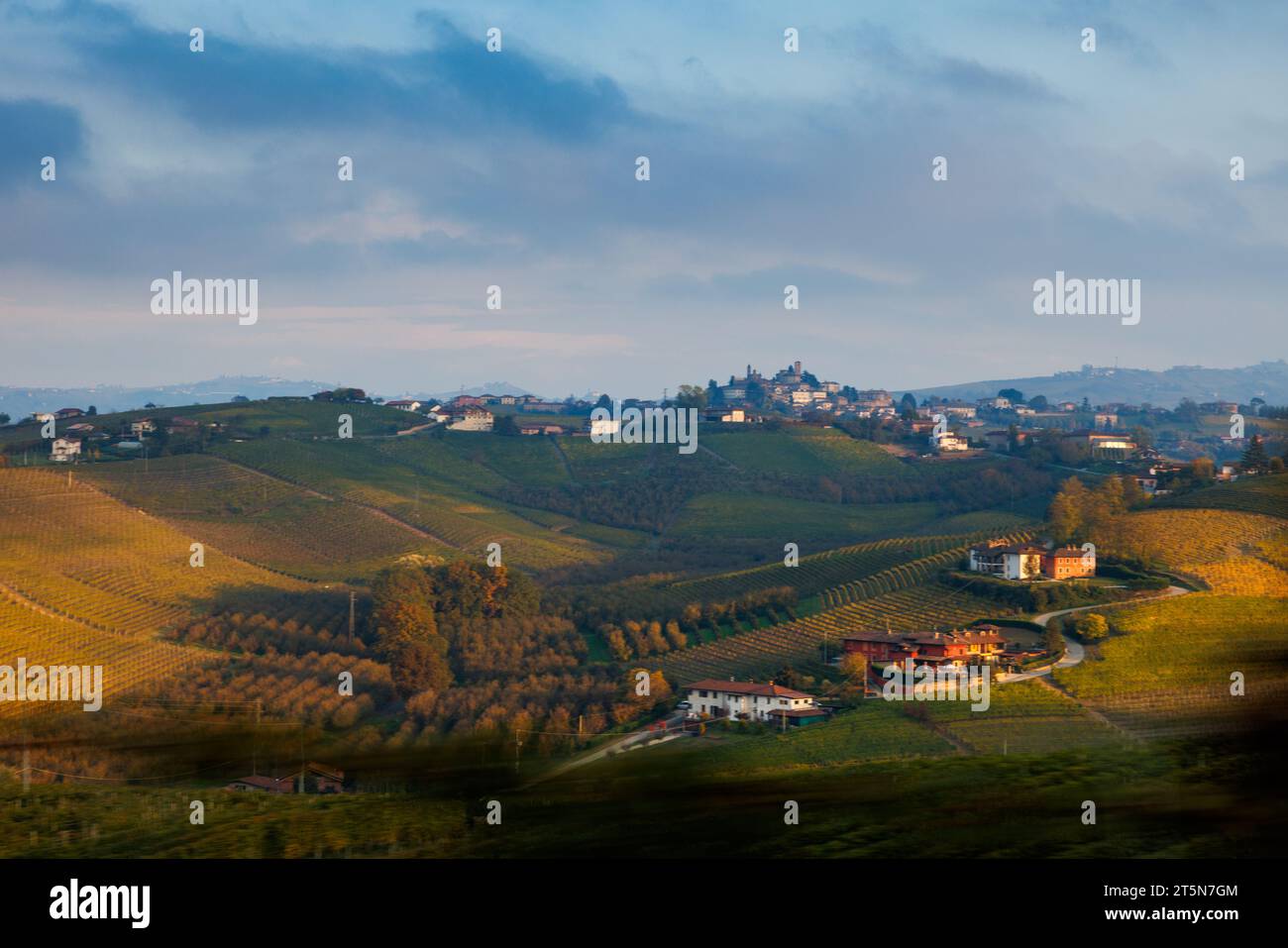 Vigneti nei pressi di Neive, Piemonte, in autunno Foto Stock