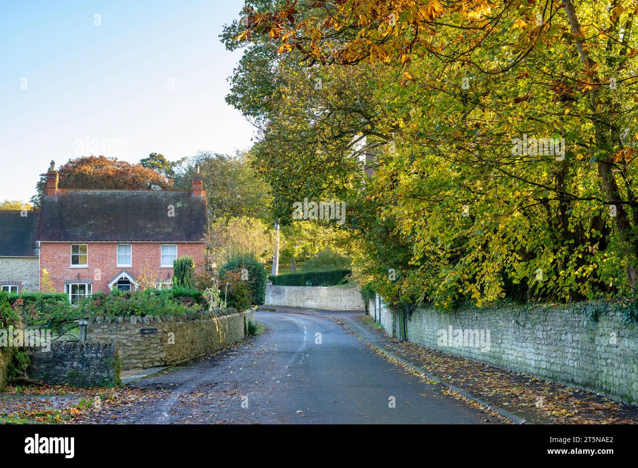 La mattina presto in autunno. Grande Milton, Oxfordshire, Inghilterra Foto Stock