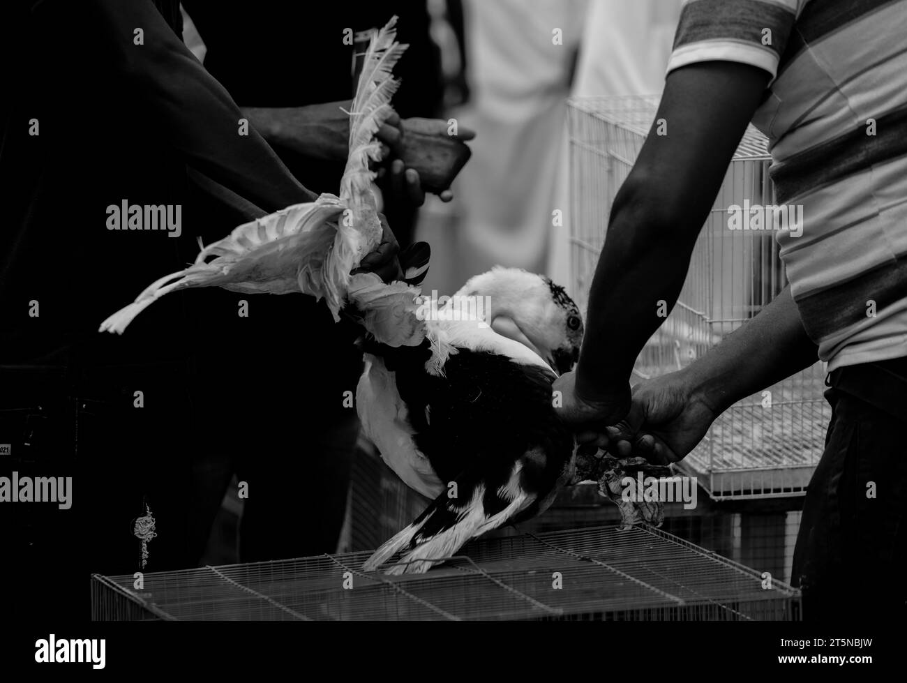 Vista mattutina del Souq Waqif doha qatar 15-11-2023 Foto Stock