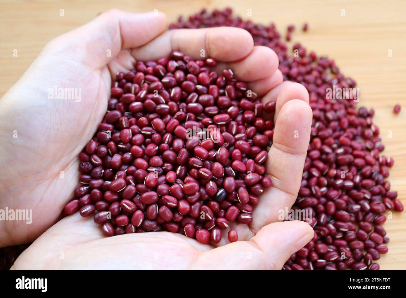 Primo piano di Heap of Dry Adzuki Red Beans nelle mani Foto Stock
