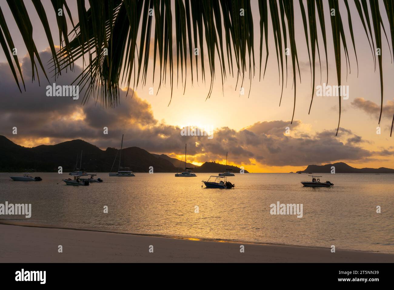 Palme e barche a vela al tramonto nell'isola di Praslin, Seychelles Foto Stock