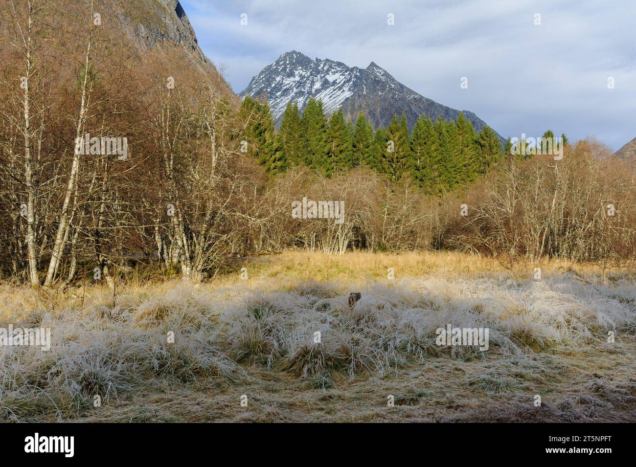 vetta della montagna in caldo sole autunnale con erba ghiacciata in primo piano Foto Stock