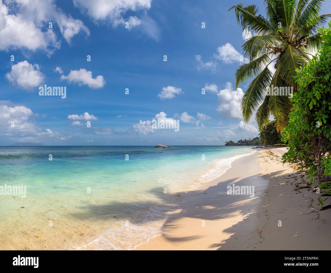 Splendida spiaggia, mare turchese e cielo blu, palme nell'isola delle Seychelles Foto Stock