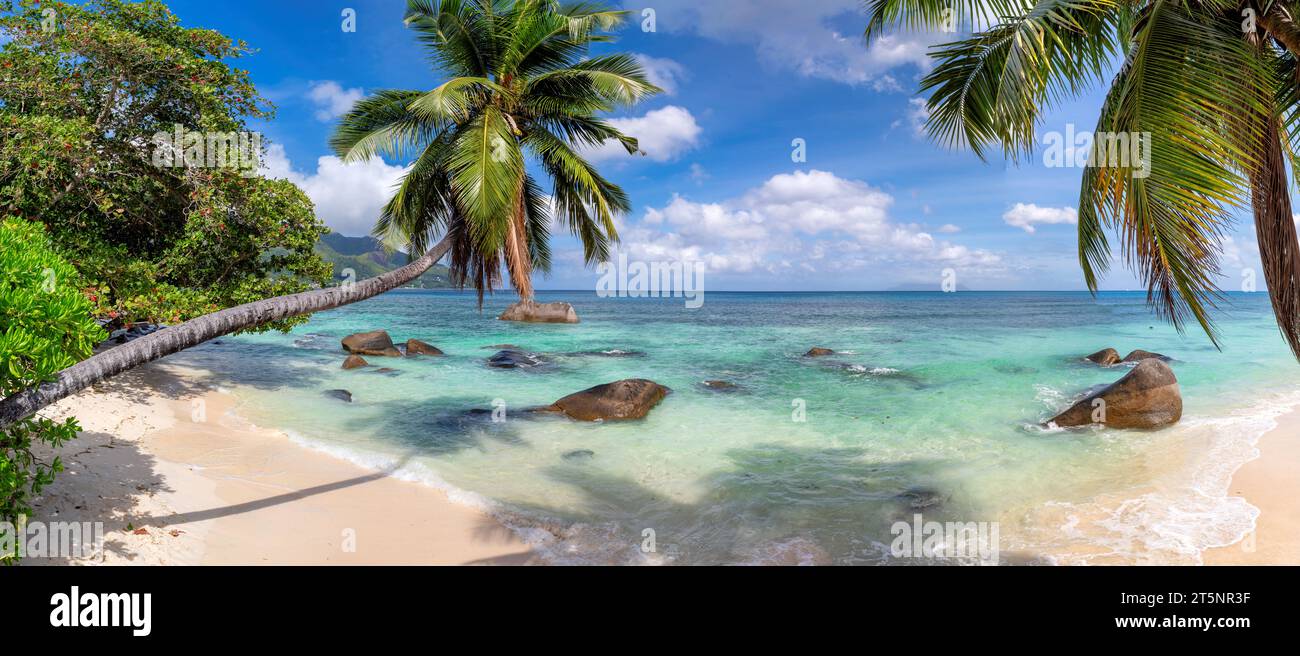Spiaggia tropicale di sabbia bianca con palme da cocco e mare turchese sull'isola delle Seychelles. Foto Stock