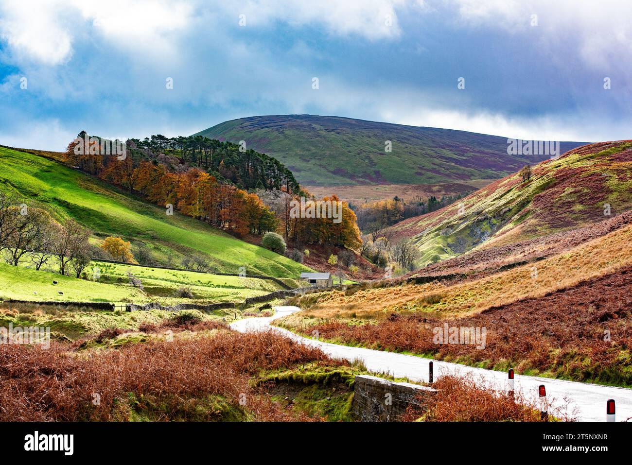 Dunsop Bridge, Clitheroe, Lancashire, Regno Unito. 6 novembre 2023. La valle di Bowland è splendida nei colori autunnali in una giornata di spettacolo nel Lancashire. Crediti: John Eveson/Alamy Live News Foto Stock