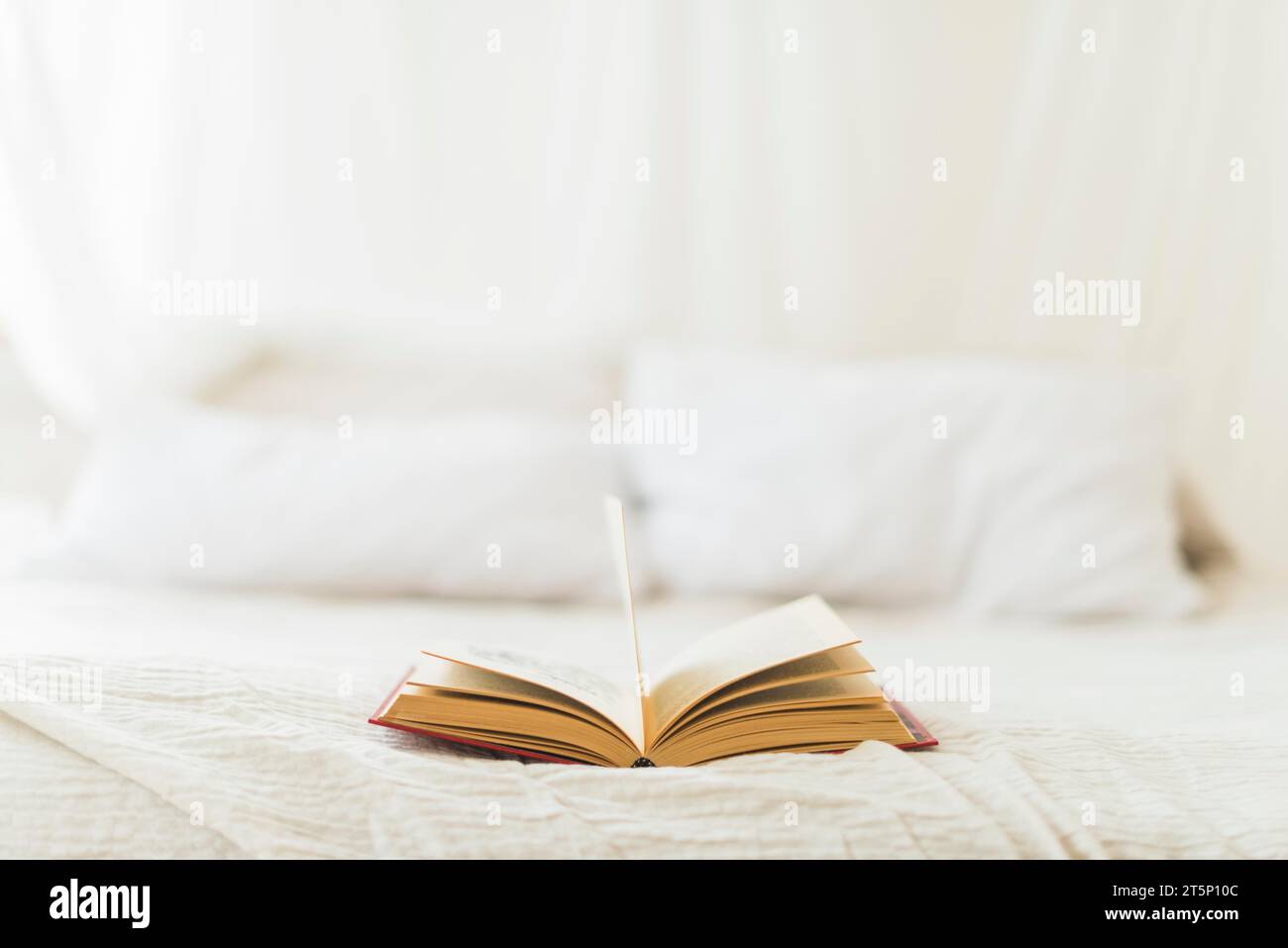 Aprire la casa del letto a libro con copertina rigida Foto Stock