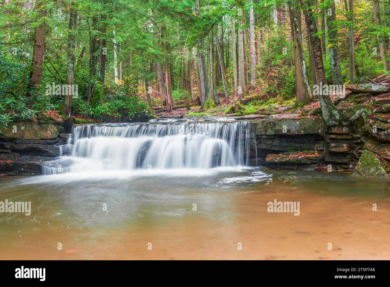 Tolliver Falls in un giorno autunnale piovoso. Tolliver Run. Swallow Falls State Park. Oakland. Maryland Foto Stock