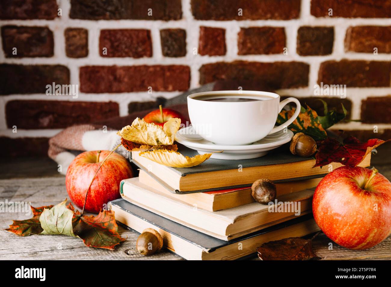 Libri fogliame di caffè Foto Stock