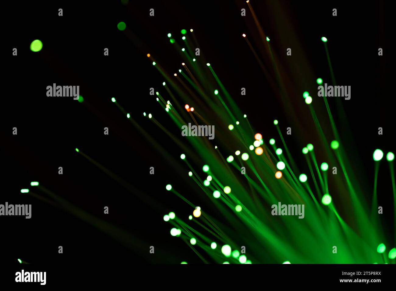 Luce verde in fibra di vetro ottica Foto Stock