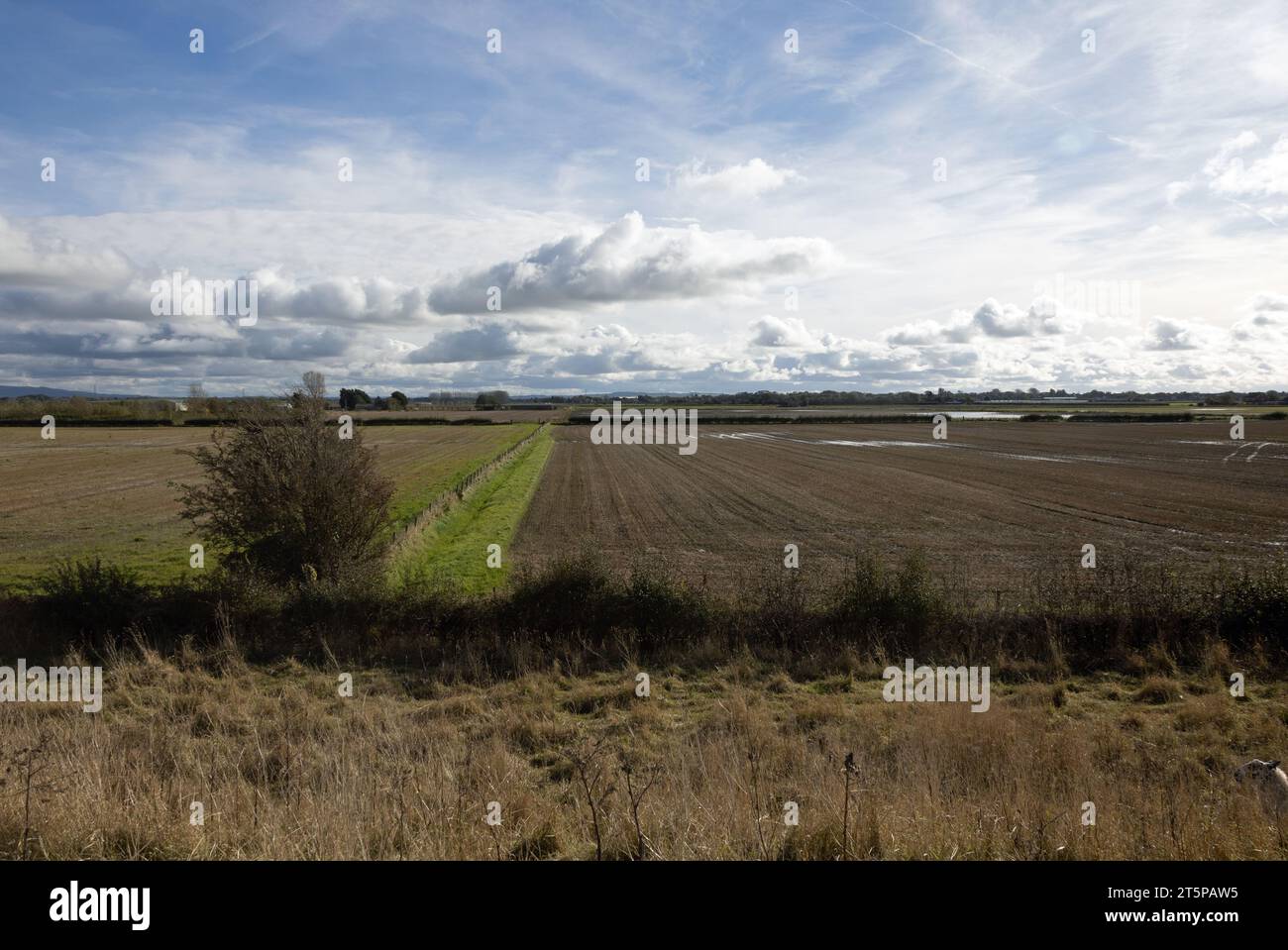 Campi agricoli dopo le forti piogge nei pressi di Hesketh Bank Lancashire Inghilterra Foto Stock