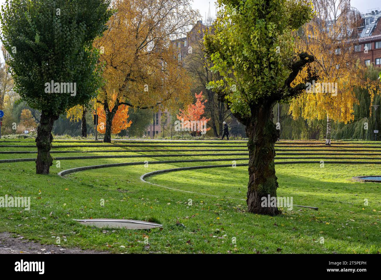 Parco cittadino Stromparken all'inizio di novembre. Norrköping è una storica città industriale in Svezia. Foto Stock