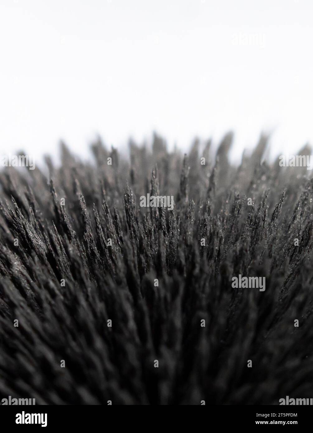 Reazione della polvere di ferro a un magnete forte. Isolato. Visualizzazione del campo magnetico. Punte di ferro in polvere. Foto Stock