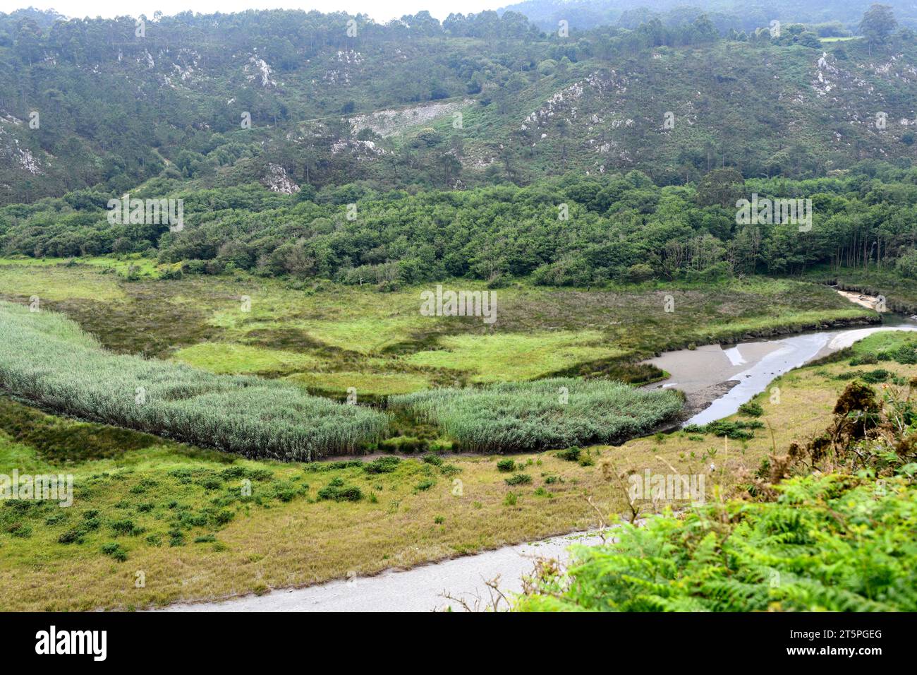 Barayo Reserva Parcial Naturale. Luarca, Asturie, Spagna. Foto Stock