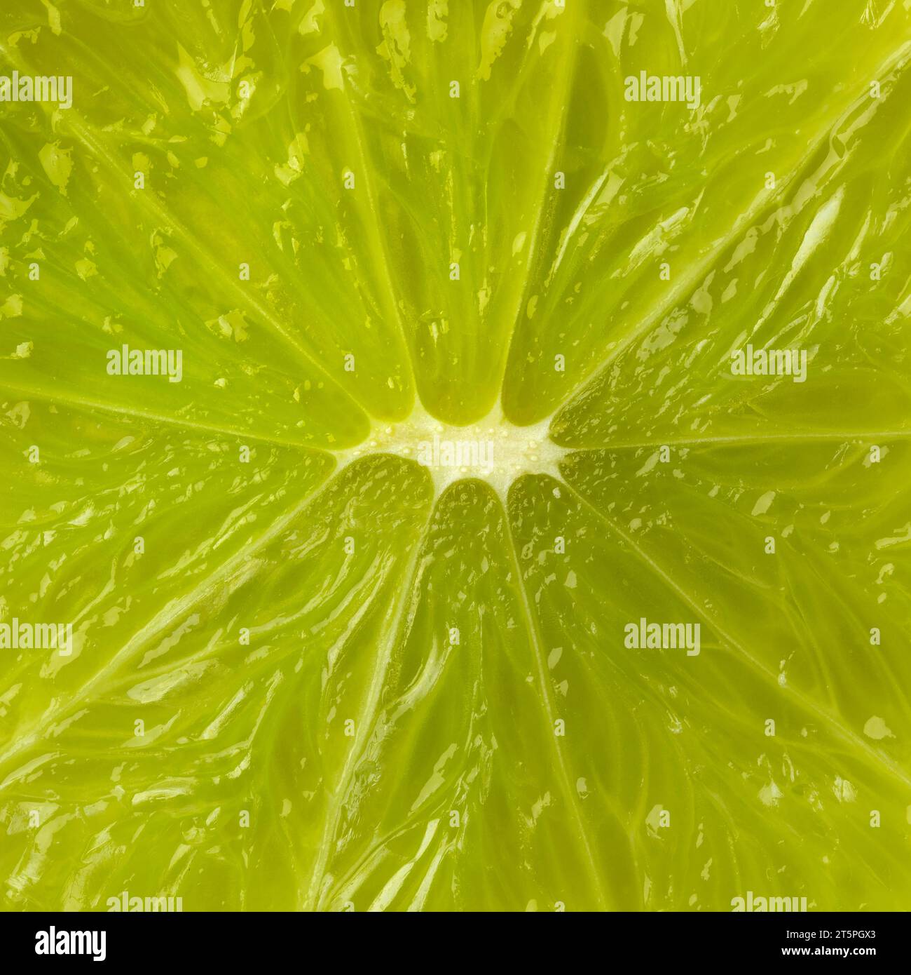 La carne di frutta di un succoso lime verde primo piano full frame come sfondo Foto Stock