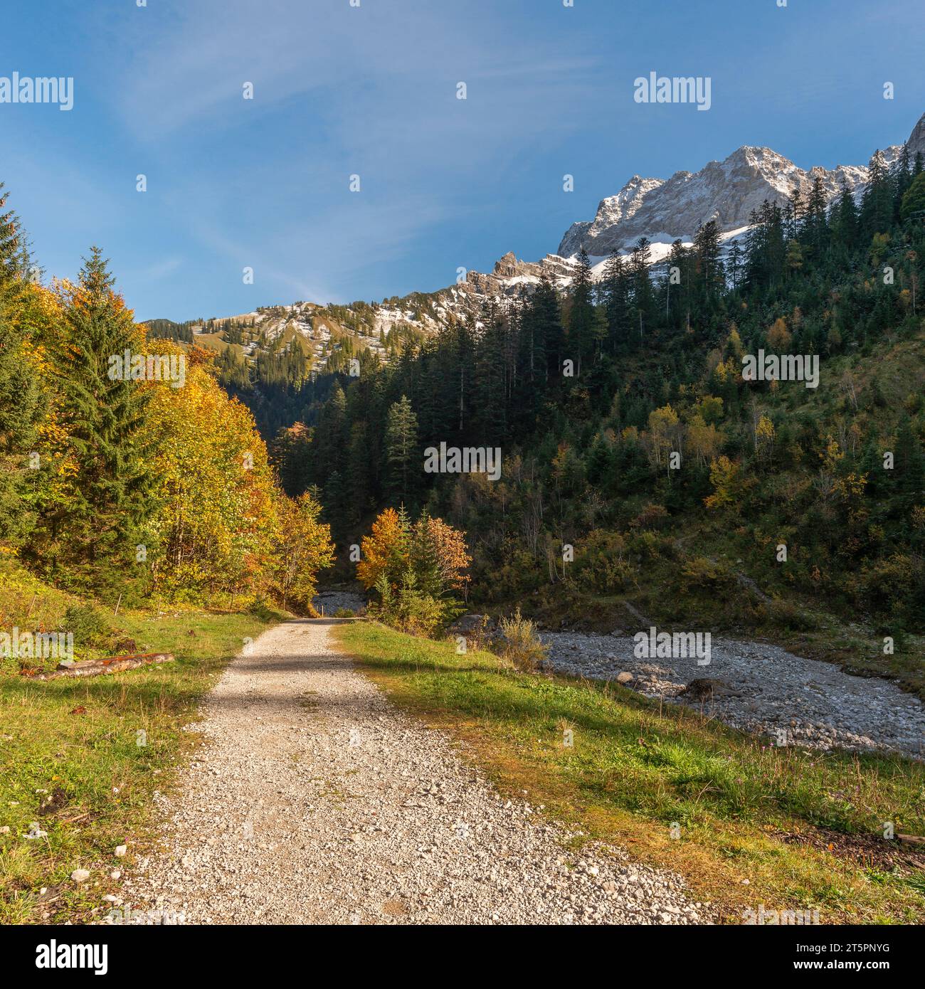 Vista sul torrente Enger Grundbach in autunno, stagione autunnale nella stretta Engtal o valle dell'Ing, Hinterriss, Tirolo, Austria, Europa Foto Stock