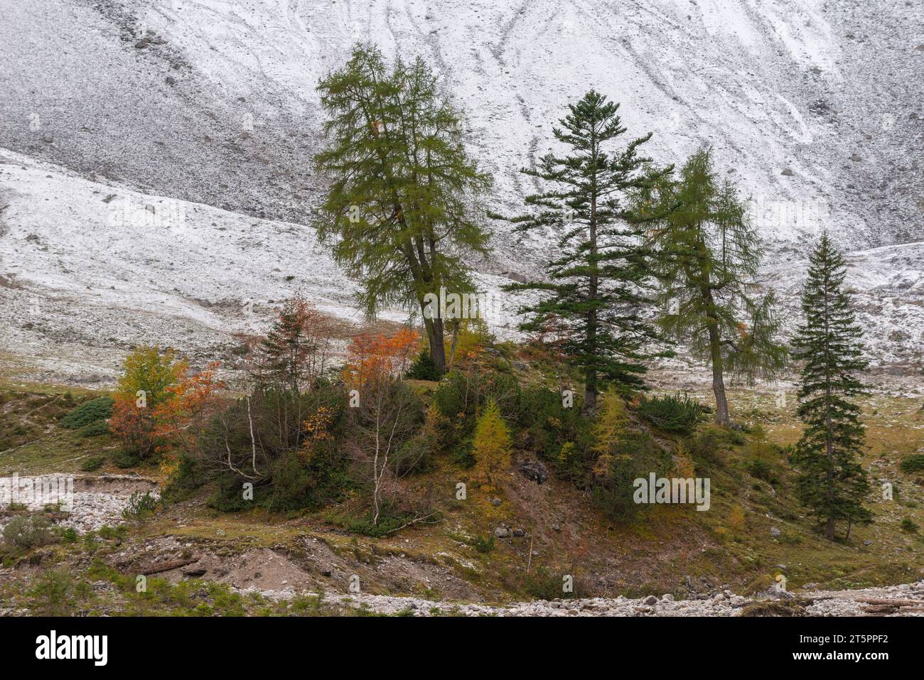 Vista sulla valle del massiccio del Karwendel nel foilage autunnale, stagione autunnale nella stretta Engtal o valle dell'Ing, Hinterriss, Tirolo, Austria, Europa Foto Stock