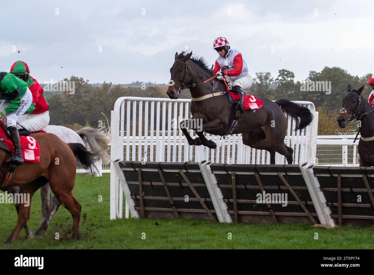 Ascot, Berkshire, Regno Unito. 4 novembre 2023. Jockey Bryony Frost equitazione Highway One o Four libera un ostacolo nella GL Events Novices' hurdle Race (Class 3) (GBB Race) all'ippodromo di Ascot presso lo spettacolare Fireworks Family Raceday. Proprietario Anthony Ward-Thomas. Allenatore Chris Gordon, Winchester. Allevatore Michael Wemyss. Sponsor Goodwin Racling Ltd, Equestrian Fencing & Timber Ltd Credito: Maureen McLean/Alamy Foto Stock