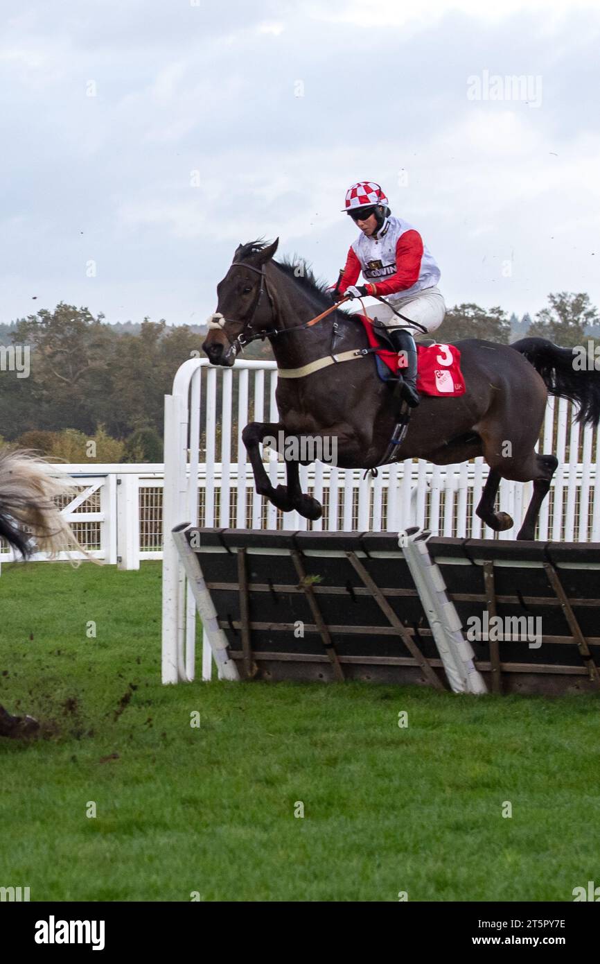 Ascot, Berkshire, Regno Unito. 4 novembre 2023. Jockey Bryony Frost equitazione Highway One o Four libera un ostacolo nella GL Events Novices' hurdle Race (Class 3) (GBB Race) all'ippodromo di Ascot presso lo spettacolare Fireworks Family Raceday. Proprietario Anthony Ward-Thomas. Allenatore Chris Gordon, Winchester. Allevatore Michael Wemyss. Sponsor Goodwin Racling Ltd, Equestrian Fencing & Timber Ltd Credito: Maureen McLean/Alamy Foto Stock