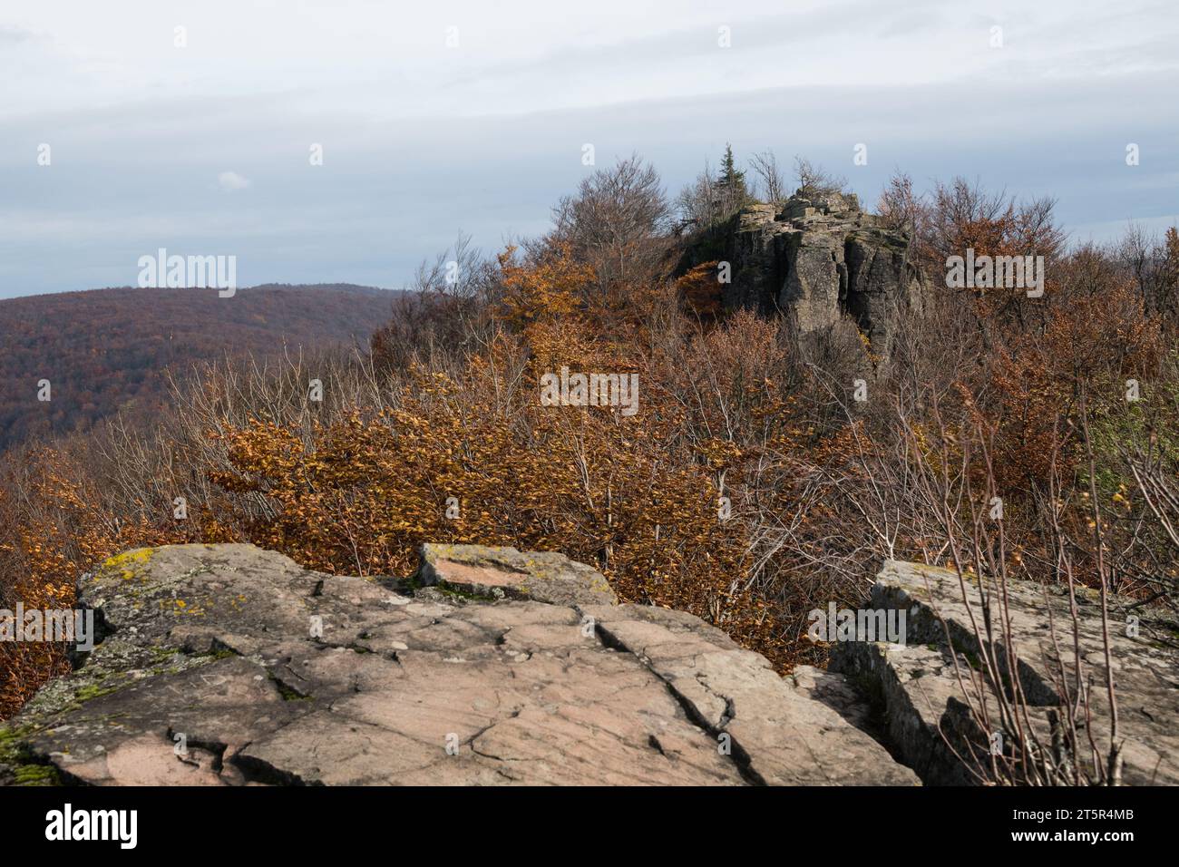 Sninsky kamen (roccia di Snina) - famosa destinazione escursionistica vicino alla città di Snina, Slovacchia Foto Stock