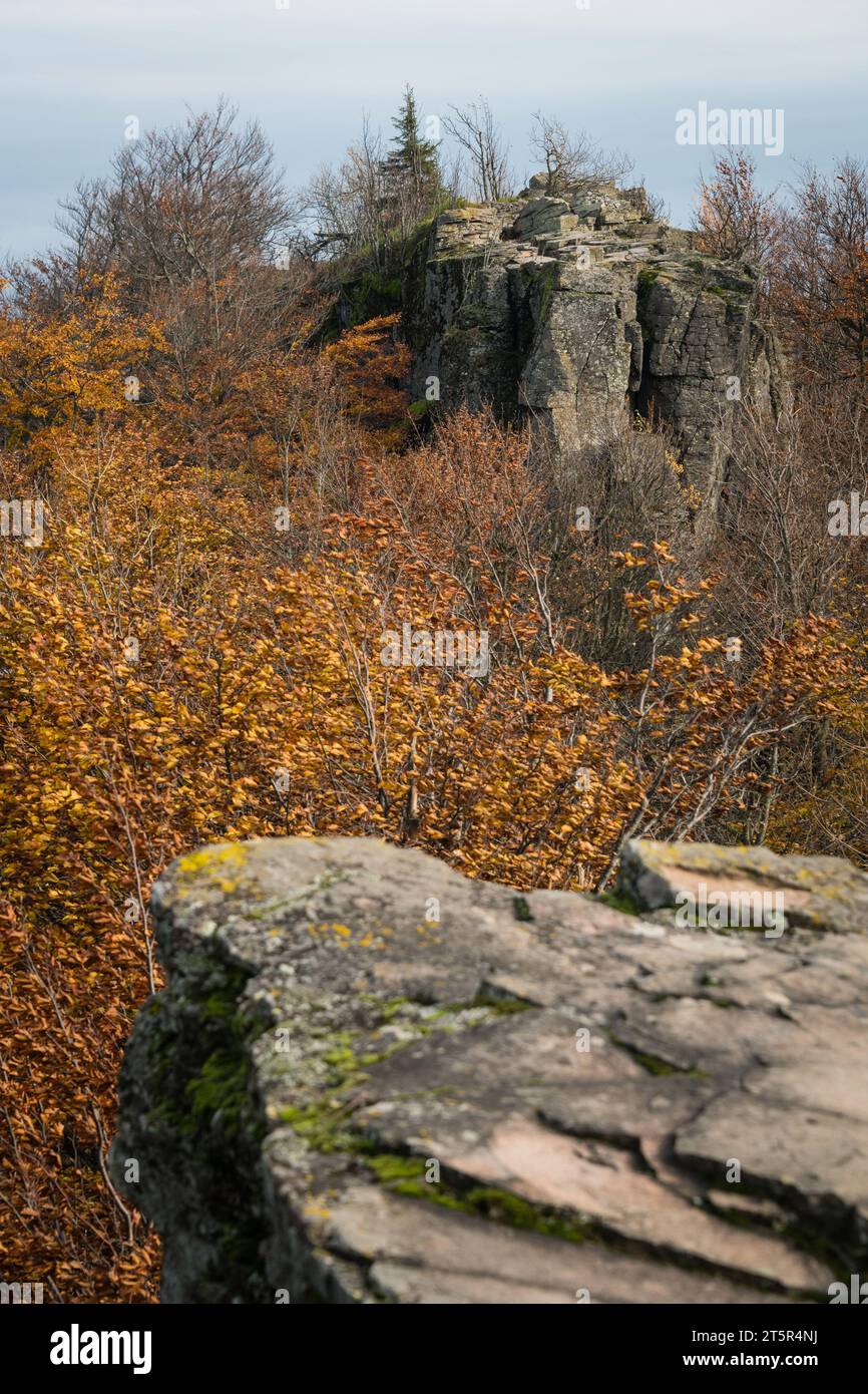 Sninsky kamen (roccia di Snina) - famosa destinazione escursionistica vicino alla città di Snina, Slovacchia Foto Stock