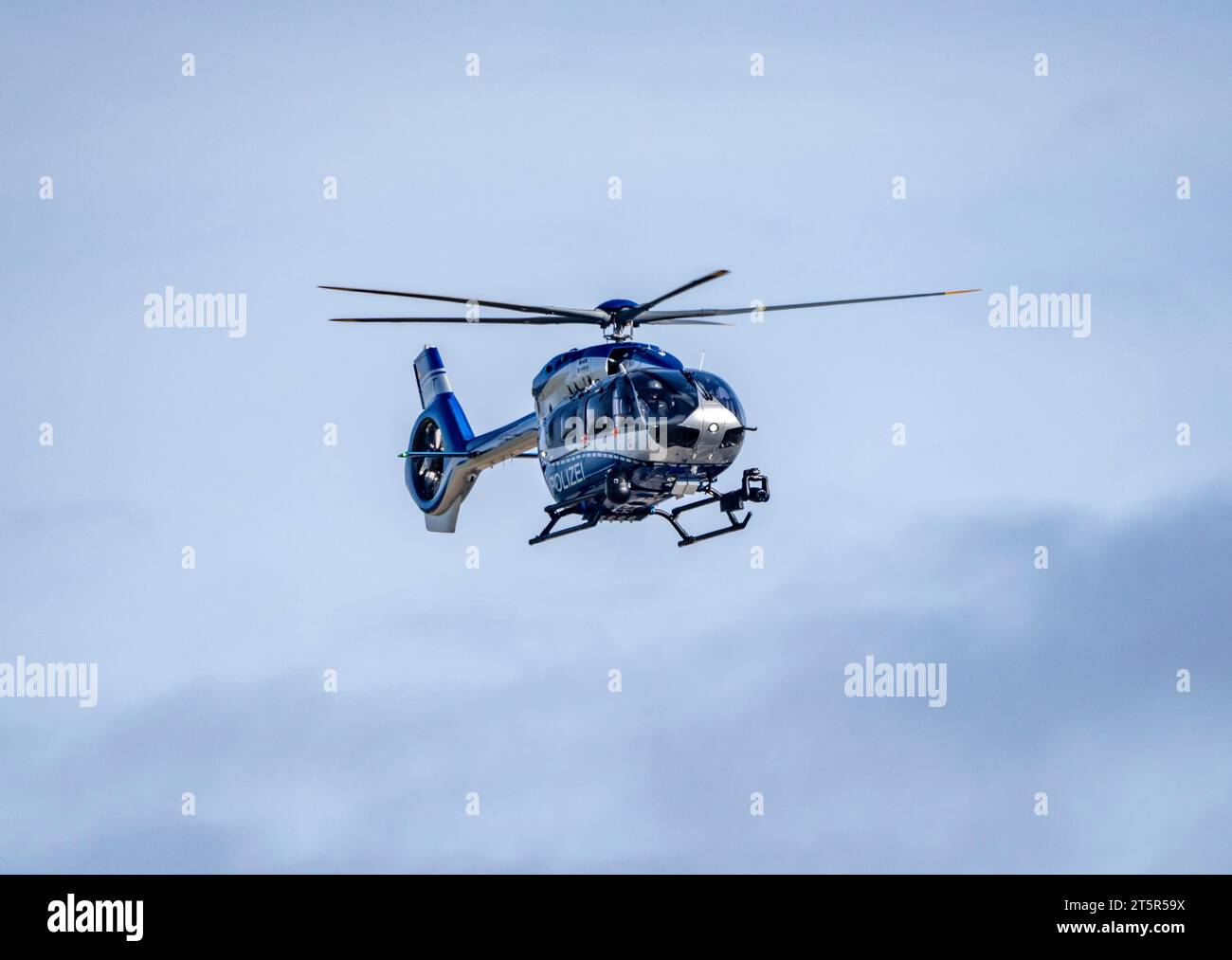 Elicottero della polizia, Airbus Helicopters H145, della polizia di Stato della NRW, dopo il decollo all’aeroporto di Düsseldorf, squadrone dell’aviazione della polizia, Foto Stock