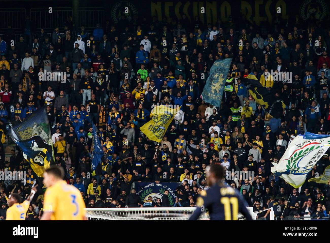 Frosinone, Italia. 6 novembre 2023. Tifosi di Frosinone durante la partita Frosinone calcio vs Empoli FC, serie A di calcio italiano a Frosinone, Italia, 06 novembre 2023 crediti: Agenzia fotografica indipendente/Alamy Live News Foto Stock