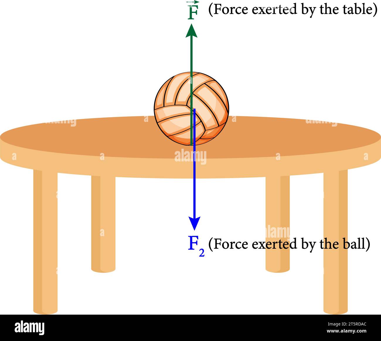Terza legge del moto di Newton: Coppie di reazione azione . Illustrazione vettoriale Illustrazione Vettoriale