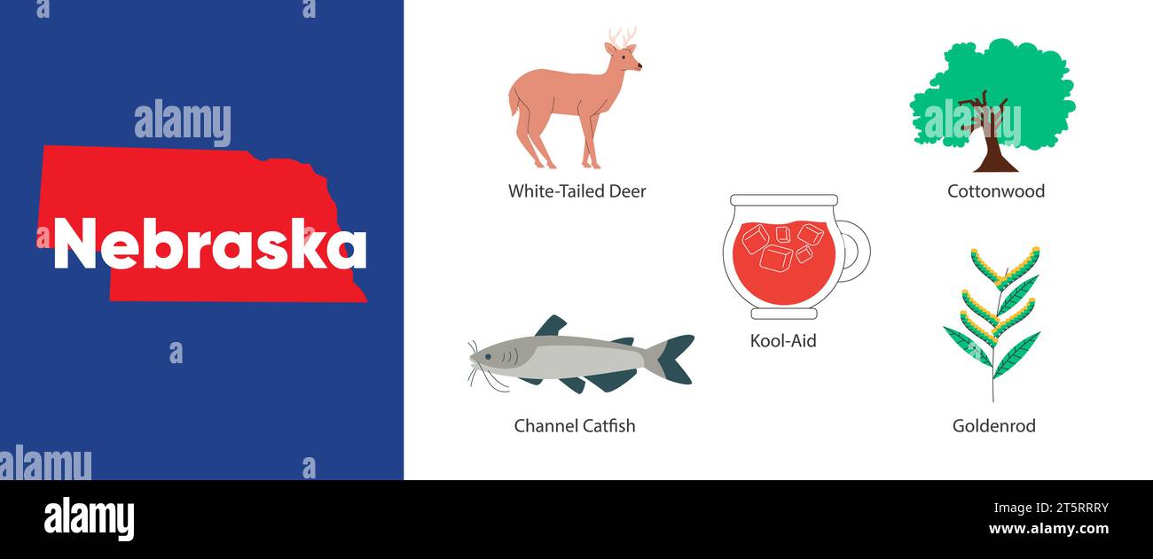 Nebraska: Simbolo del pesce gatto del canale, fiore della verga d'oro, disegno del cervo dalla coda bianca di cottonwood Illustrazione Vettoriale