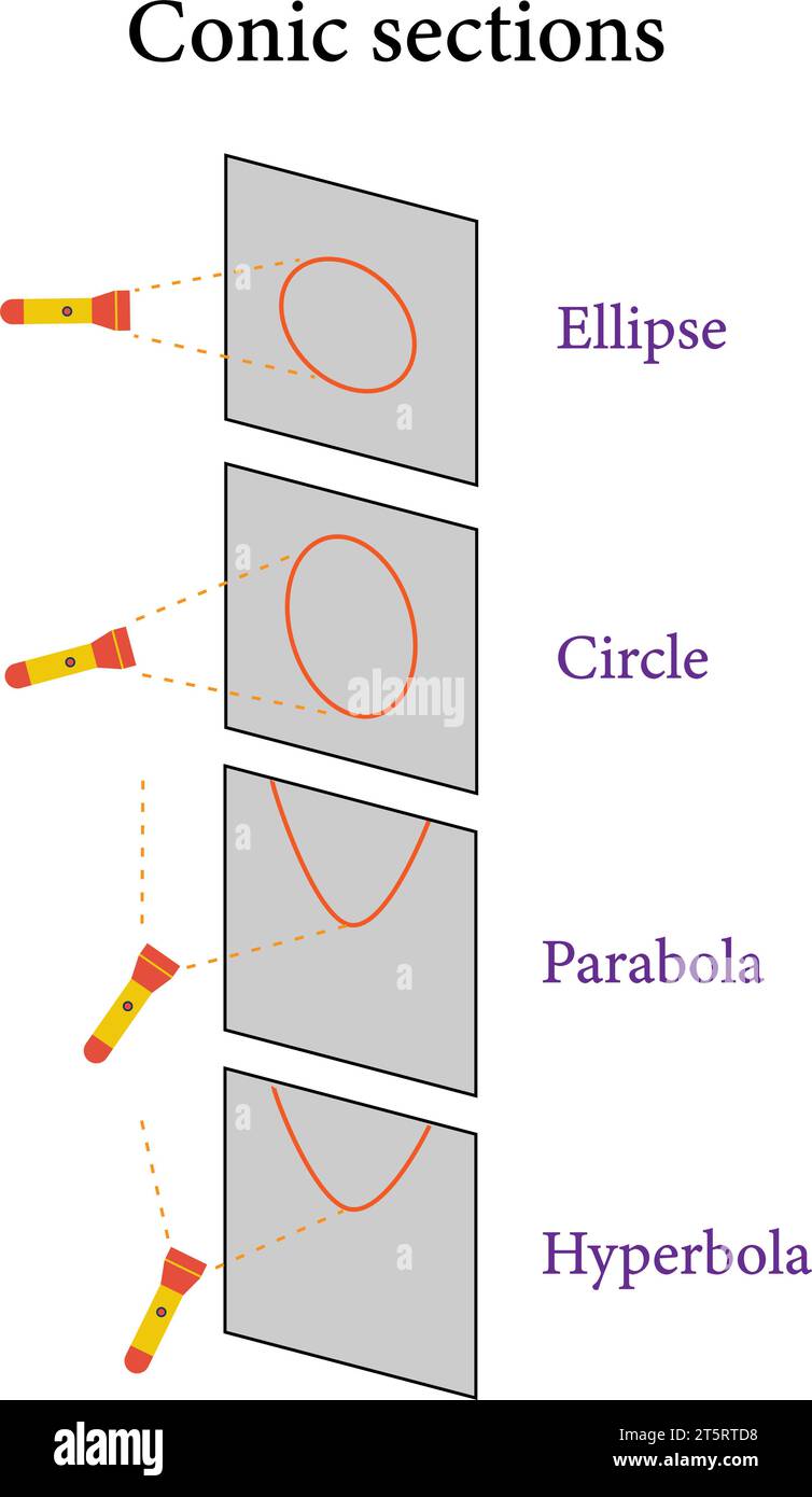 Tipi di sezioni coniche : cerchio , ellisse , parabola , iperbola .illustrazione vettoriale Illustrazione Vettoriale