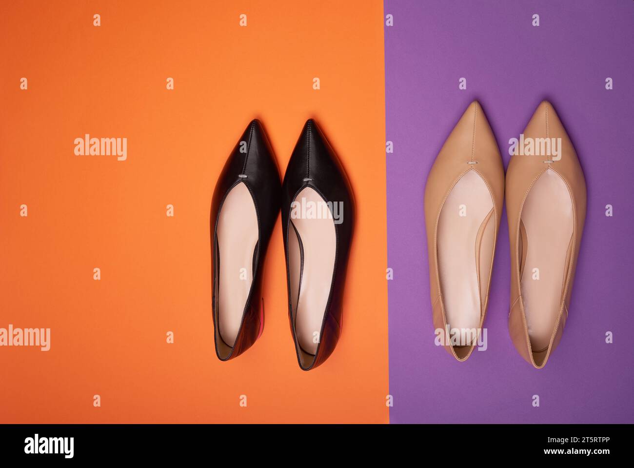 Vista dall'alto di due paia di moderne scarpe a punta da donna di diversi colori, ma dello stesso modello su uno sfondo colorato con spazio per la copia sulla sinistra. Foto Stock