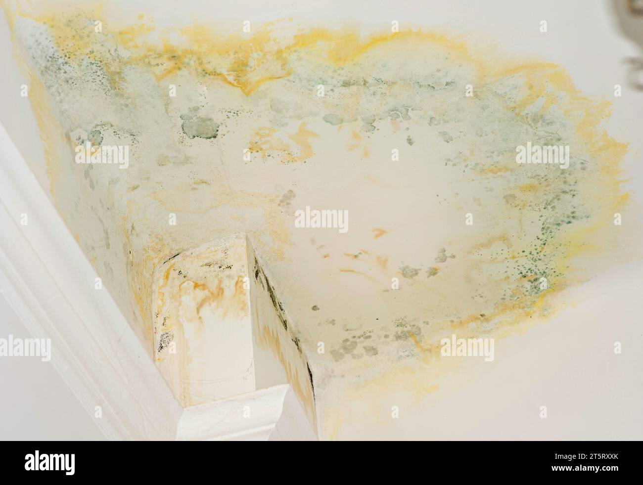Perdita sul soffitto. È necessaria una riparazione urgente. Conseguenze di un tubo di scoppio al piano superiore. Caso assicurativo. Inondazioni da parte dei vicini. Copia spazio Foto Stock