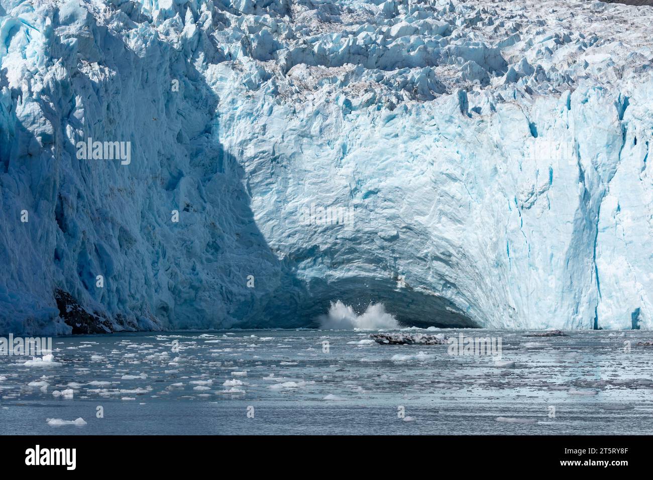 Ghiaccio blu del ghiacciaio Aialik che si allunga nelle acque oceaniche del Golfo dell'Alaska Foto Stock