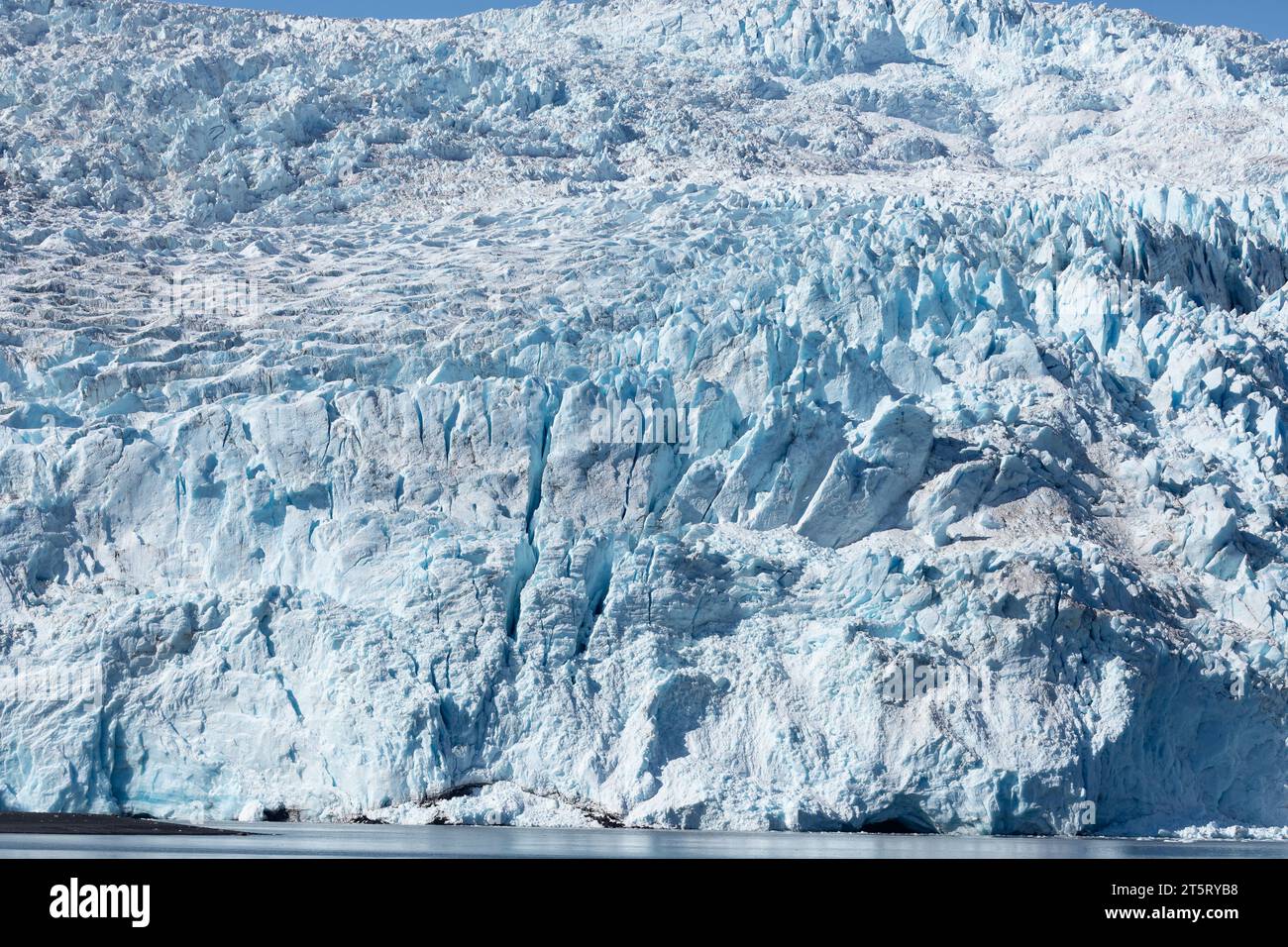 Il ghiaccio blu del ghiacciaio Aialik incontra le acque oceaniche del Golfo dell'Alaska Foto Stock